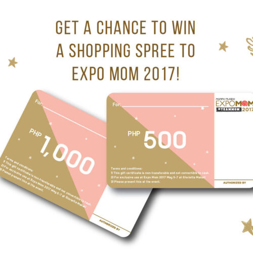 Expo Mom 2017 GC Giveaway