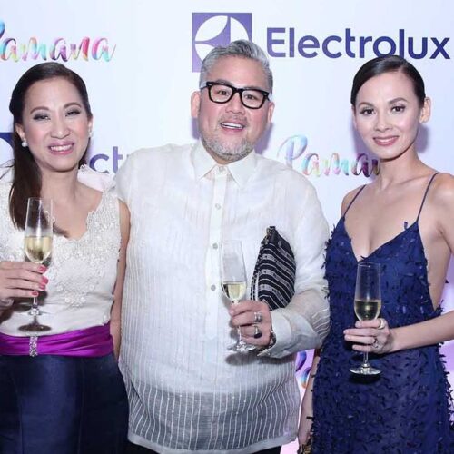 Electrolux Celebrates 15th Anniversary With FashionCare Campaign